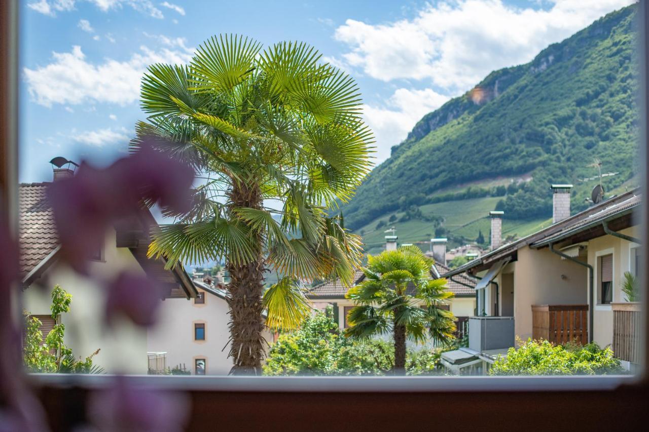 Ferienwohnungen Atz Tramin an der Weinstraße Exterior foto